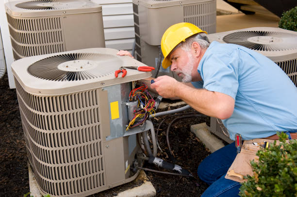 Best HVAC Air Duct Cleaning  in Perham, MN